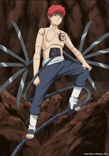 Сасори Фотография 9